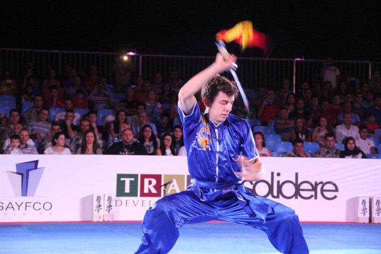 Martial Arts Festival